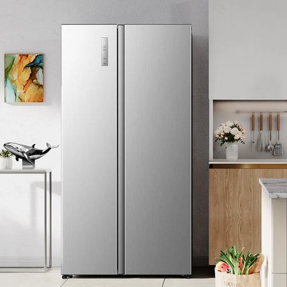 Սառնարան երկու դուռ Hisense RS3P558NEC1