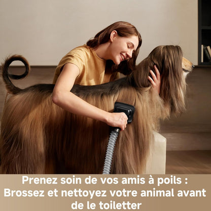 Լվացող փոշեկուլ DREAME Z40 Station (VZV33A)